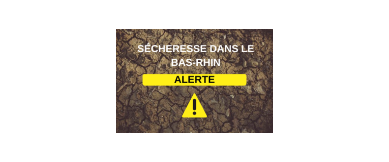 Sécheresse : le Bas-Rhin en état d'alerte 