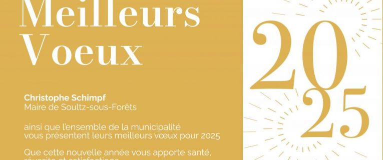 Meilleurs voeux pour cette nouvelle année !!!