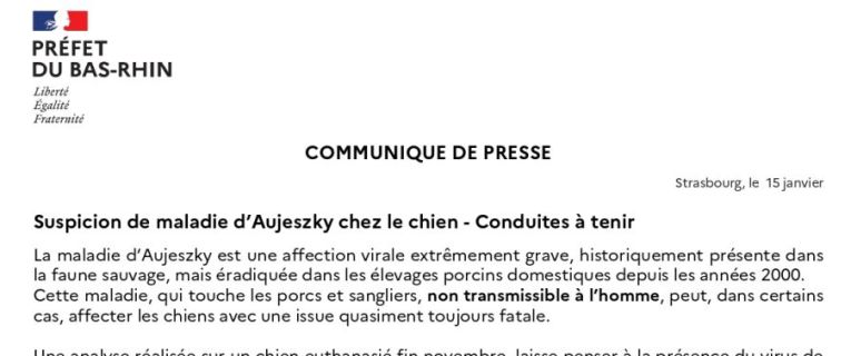 Communiqué de presse - Suspicion de maladie d'Aujeszky chez le chien - Conduites à tenir