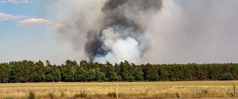 Prévention des feux de forêt et de végétation