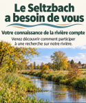 Parlons du Seltzbach