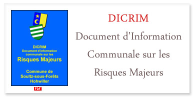 dicrim_soultz_sous_forets_2 dicrim_soultz_sous_forets_2