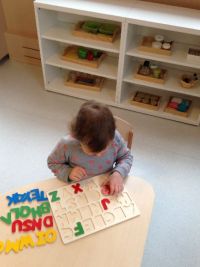 Anoures-Hohwiller2 Anoures-Hohwiller2